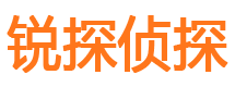 宜丰市侦探调查公司